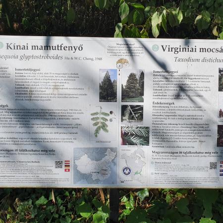 Nagyobb kép megtekintése
